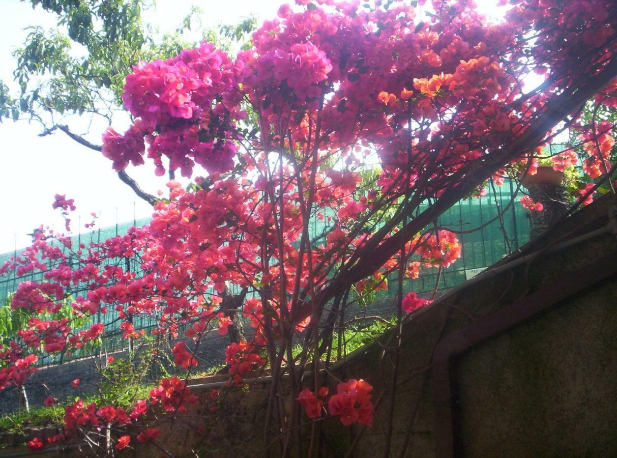 Bed and Breakfast Le Gardenie da Fil Bordighera Esterno foto