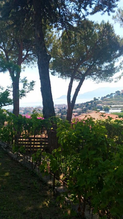 Bed and Breakfast Le Gardenie da Fil Bordighera Esterno foto